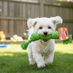 Tootoy! Hueso Mordedor de Cuerda Verde para perros