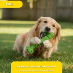 Tootoy! Hueso Mordedor de Cuerda Verde para perros