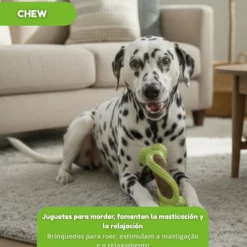 Tootoy! Hueso Mordedor Dental Verde y Marrón para perros