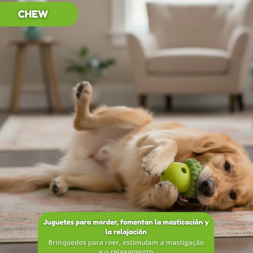 Tootoy! Juguete Portagolosinas Bellota Verde para perros