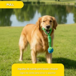 Tootoy! Modedor para Tirar de Cuerda con Pelota Verde y Azul para perros