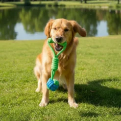 Tootoy! Modedor para Tirar de Cuerda con Pelota Verde y Azul para perros