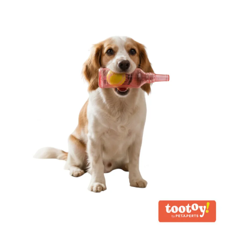 Tootoy! Mordedor Botella con Pelota de Goma para perros