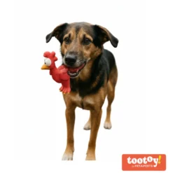 Tootoy! Mordedor con Sonido Gallina para perros