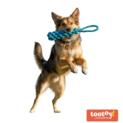 Tootoy! Mordedor de Cuerda Azul para perros