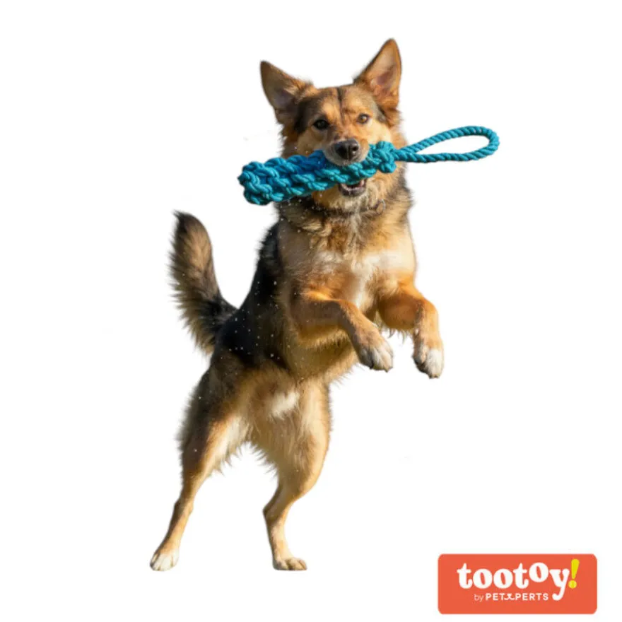 Tootoy! Mordedor de Cuerda Azul para perros