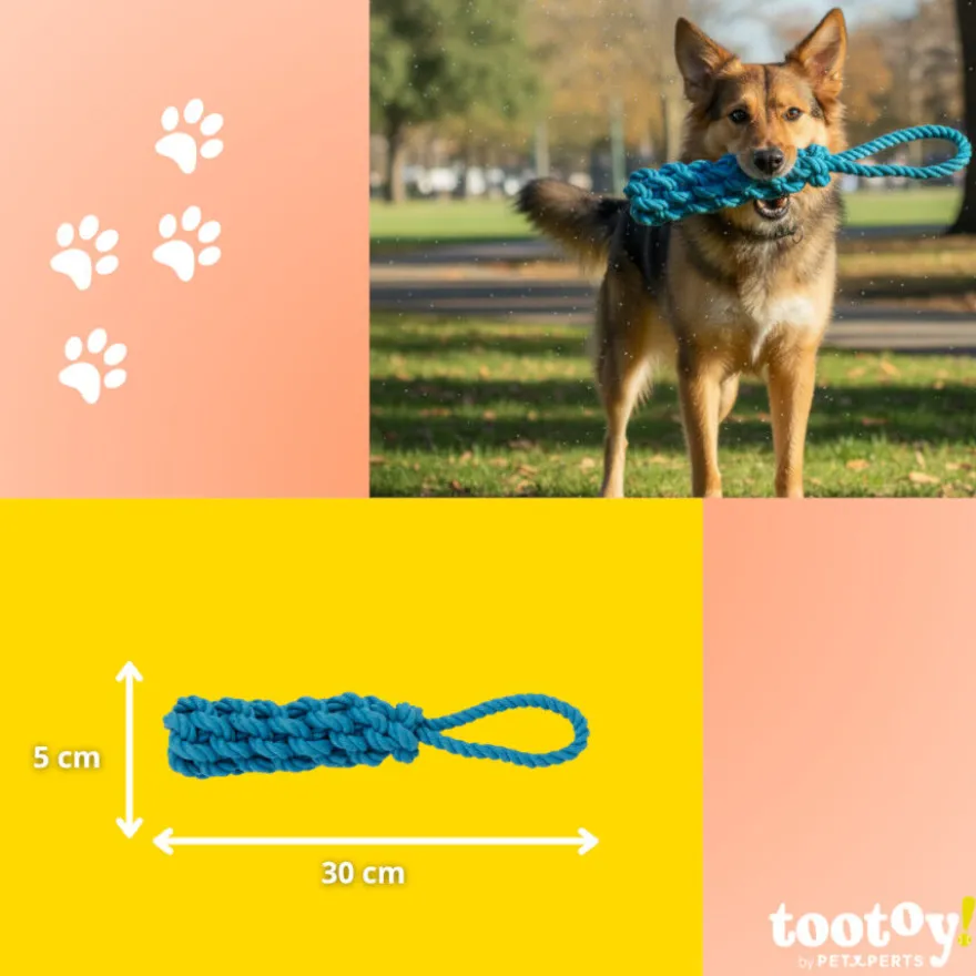 Tootoy! Mordedor de Cuerda Azul para perros