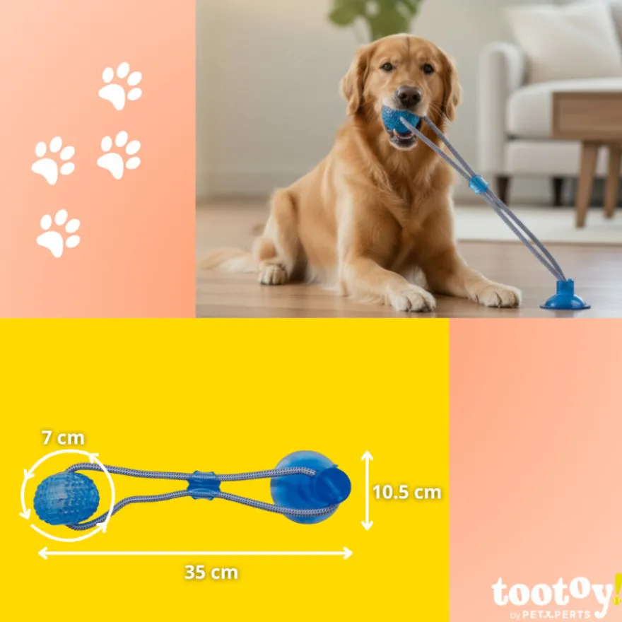 Tootoy! Mordedor de Cuerda con Pelota y Ventosa Azul para perros