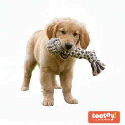 Tootoy! Mordedor de Cuerda con Pelota para perros