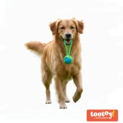 Tootoy! Mordedor de Cuerda con Pelota Verde para perros