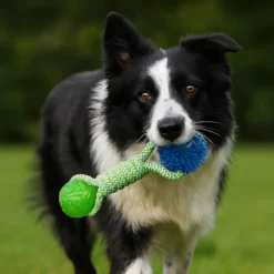 Tootoy! Mordedor de Cuerda con Pelotas de Goma para perros