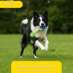 Tootoy! Mordedor de Cuerda con Pelotas de Goma para perros