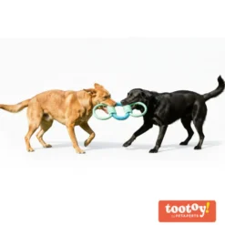 Tootoy! Mordedor de Cuerda y Goma Triple para perros