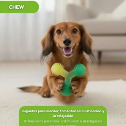 Tootoy! Mordedor de Pelotas en Triángulo Verde para perros
