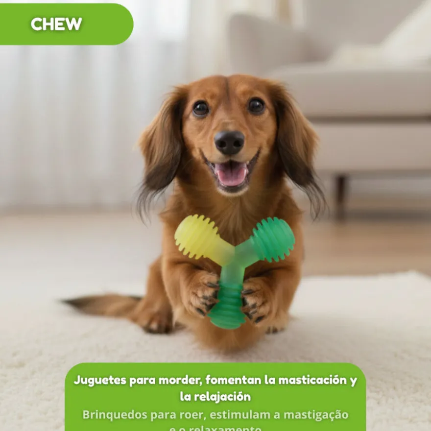 Tootoy! Mordedor de Pelotas en Triángulo Verde para perros