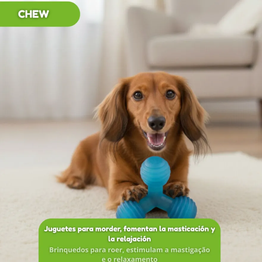 Tootoy! Mordedor de Pelotas en Triángulo Azul para perros