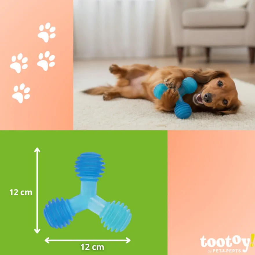 Tootoy! Mordedor de Pelotas en Triángulo Azul para perros