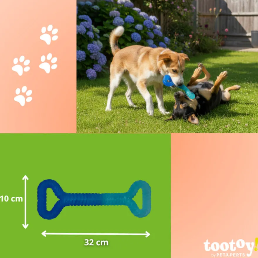 Tootoy! Mordedor Grill and Pull Azul para perros
