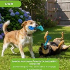 Tootoy! Mordedor Grill and Pull Azul para perros