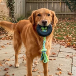 Tootoy! Mordedor Neumático de Goma con Cuerda para perros