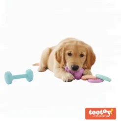 Tootoy! Pack de Mordedores para cachorros
