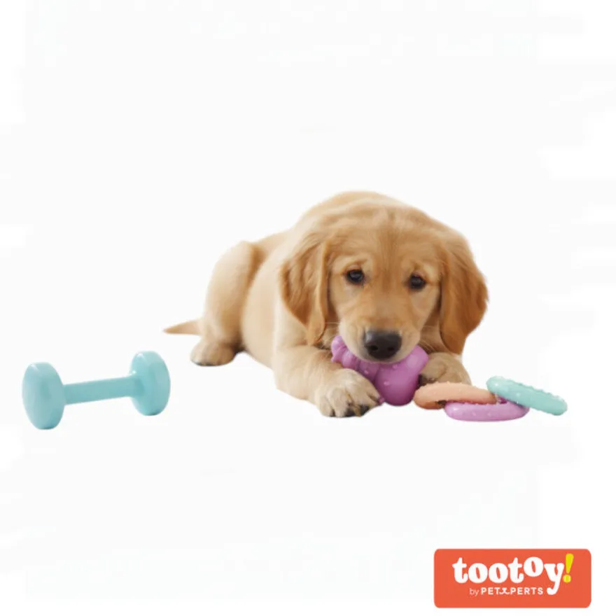 Tootoy! Pack de Mordedores para cachorros