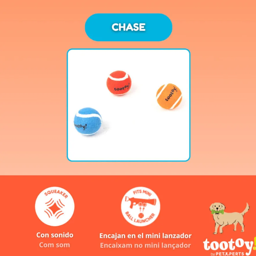 Tootoy! Pack de Pelotas de Tenis de Colores para perros