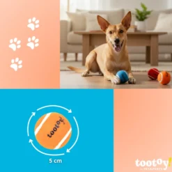 Tootoy! Pack de Pelotas de Tenis de Colores para perros