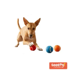Tootoy! Pack de Pelotas de Tenis de Colores para perros