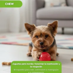 Tootoy! Pelota Toughie Rubber de Goma Roja para perros