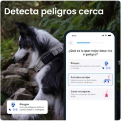Tractive GPS Dog 6 Marrón Rastreador para perros