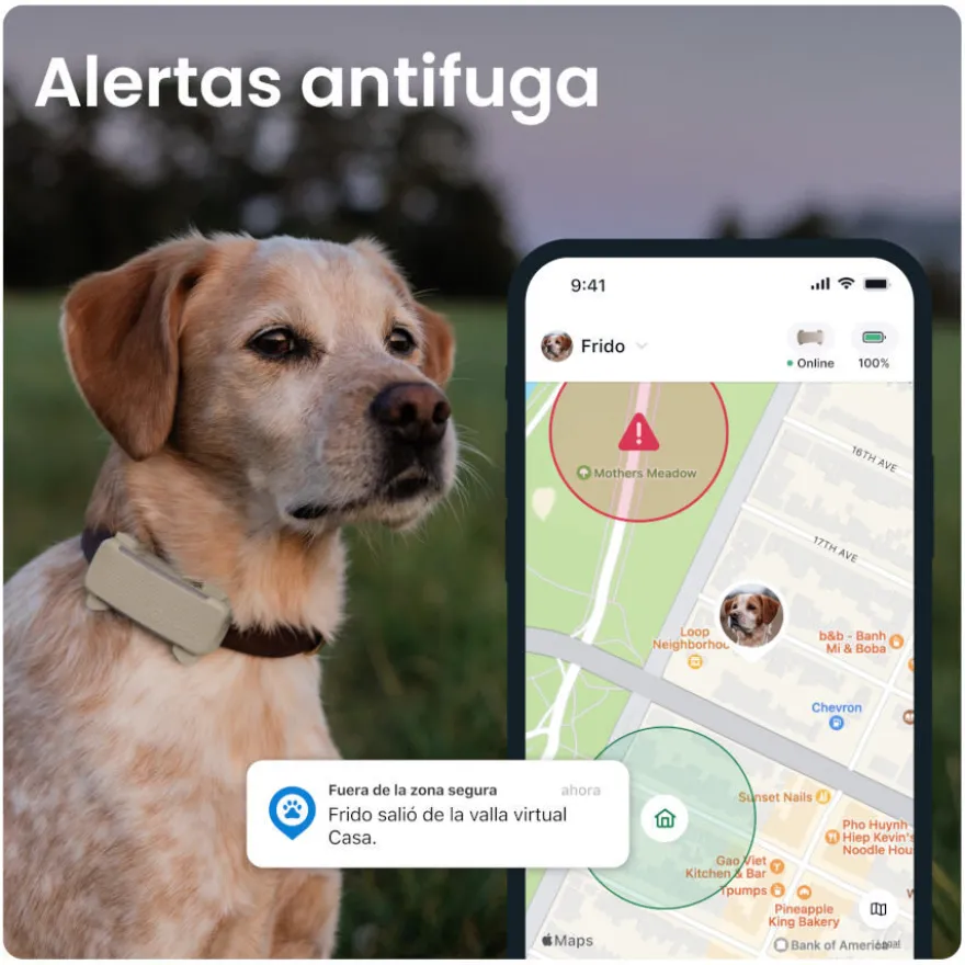 Tractive GPS Dog 6 Marrón Rastreador para perros