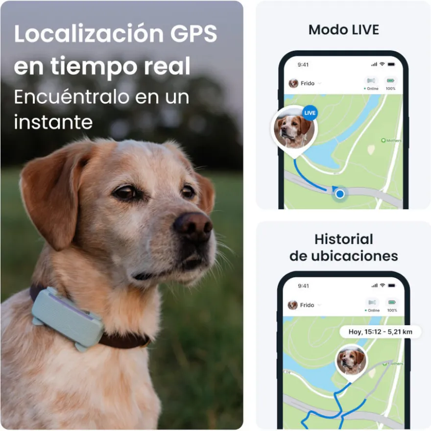 Tractive GPS Dog 6 Menta Rastreador para perros