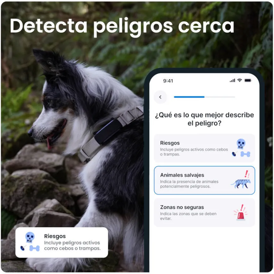 Tractive GPS Dog 6 Menta Rastreador para perros