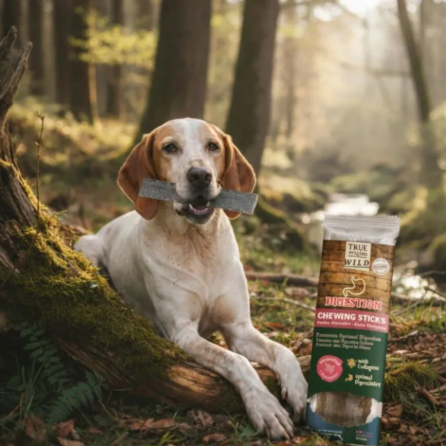 True Origins Digestion Chewing Sticks Snack para perros
