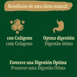 True Origins Digestion Chewing Sticks Snack para perros