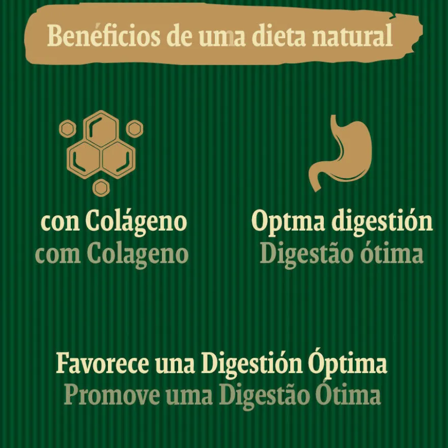 True Origins Digestion Chewing Sticks Snack para perros
