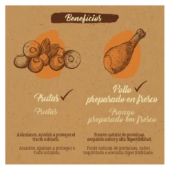 True Origins Pure Adult Pollo pienso para gatos
