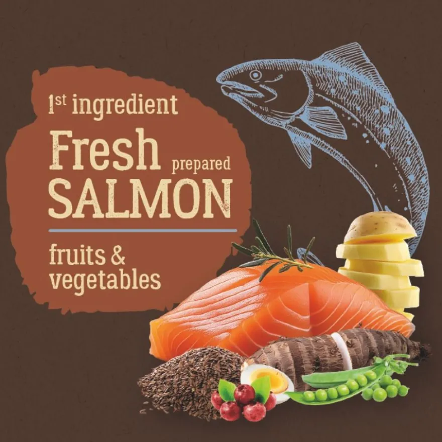 True Origins Pure Kitten No Grain Free Salmón pienso para gatos