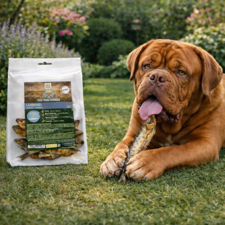 True Origins Sardinas Snack para perros