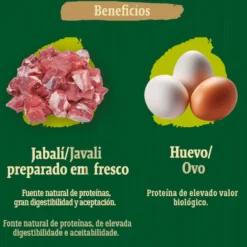 True Origins Wild Greenlands pienso para perros