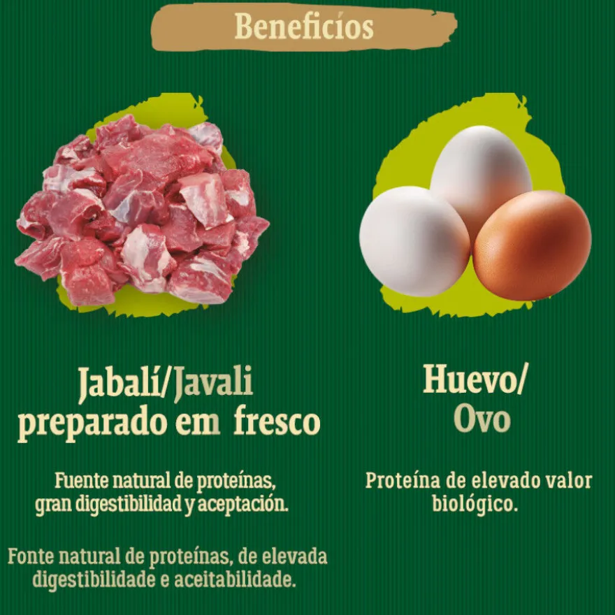 True Origins Wild Greenlands pienso para perros