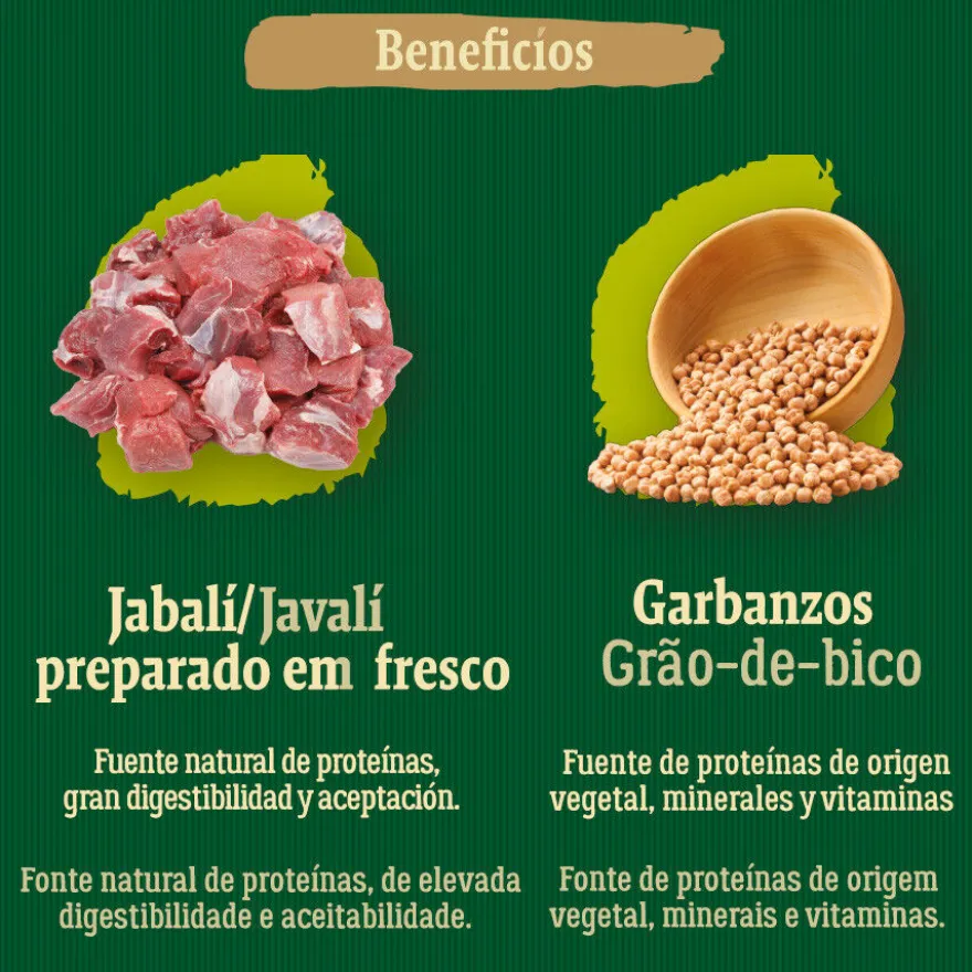 True Origins Wild Greenlands Jabalí pienso para gatos