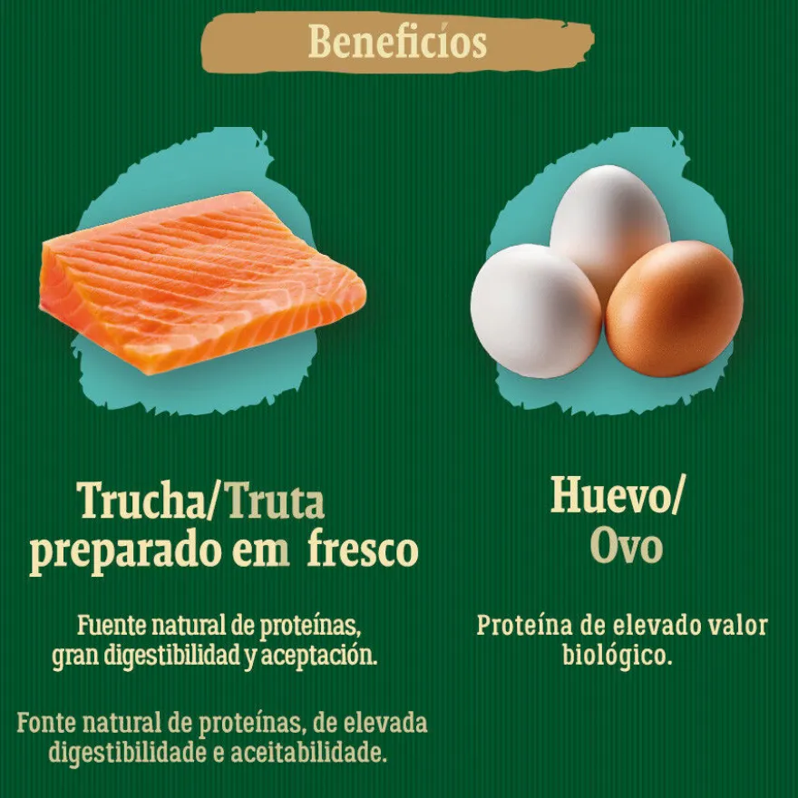 True Origins Wild Ocean River Salmón y Trucha pienso para gatos