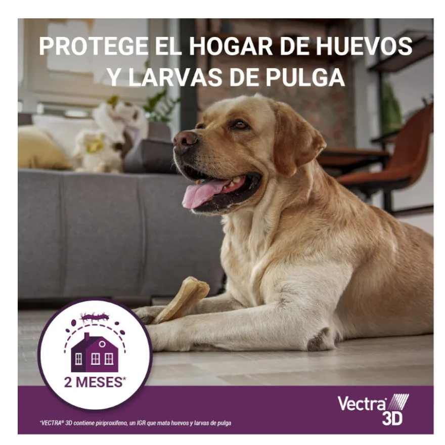 Vectra 3D Pipetas Antiparasitarias para perros