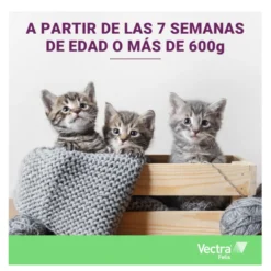 Vectra Felis Pipetas Antiparasitarias para gatos