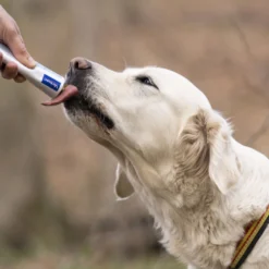 Virbac Nutri-plus gel Suplemento para perros y gatos