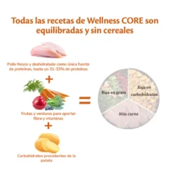 Wellness Core Adult Large Original Pollo pienso para perros