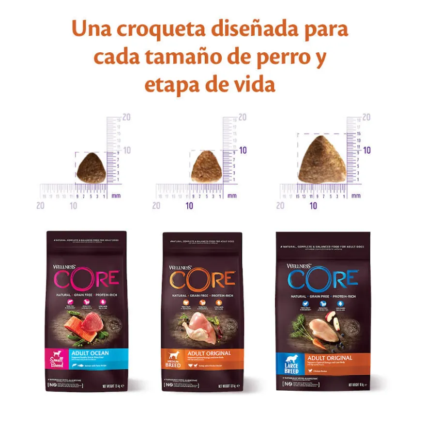 Wellness Core Adult Large Original Pollo pienso para perros