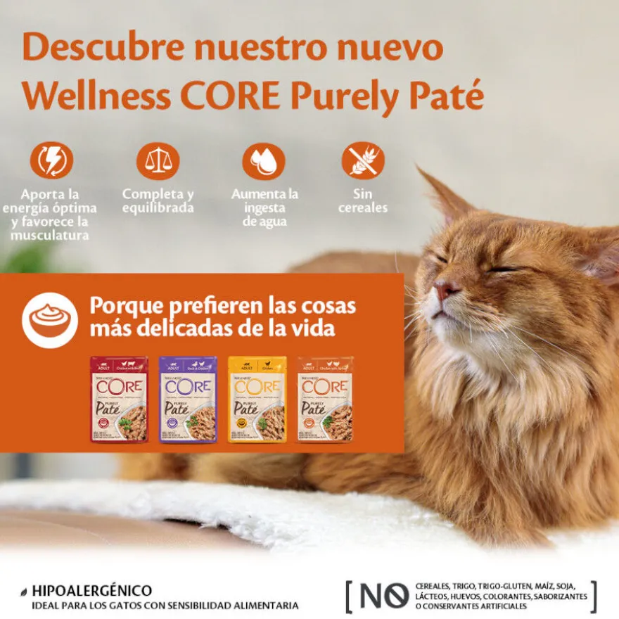Wellness Core Adult Purely Pollo en Paté Sobre para gatos